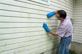 Affordable Siding Repair and Maintenance Services in Randleman, NC